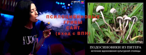 молекула духа Алзамай