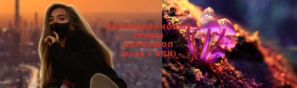 спайс Алексин
