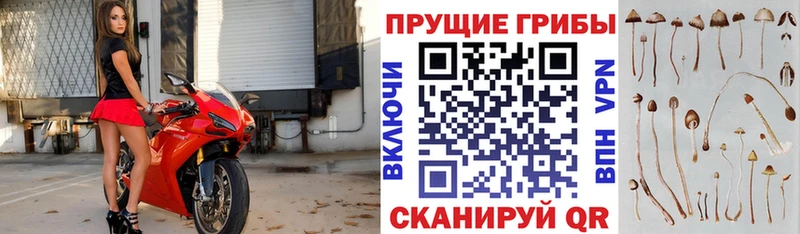 blacksprut маркетплейс  Алексин  Псилоцибиновые грибы мухоморы 
