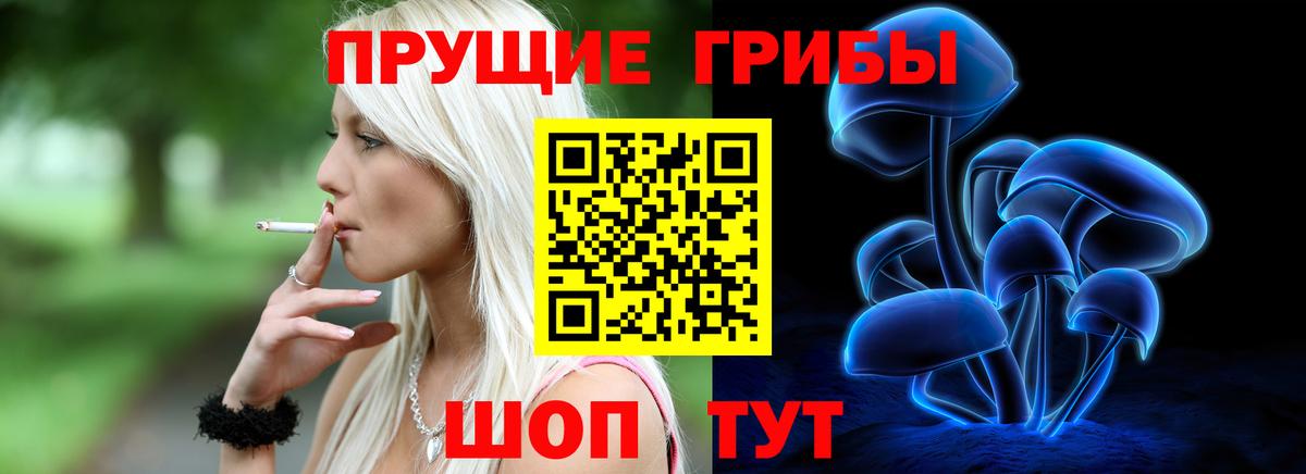Галлюциногенные грибы Magic Shrooms Алексин